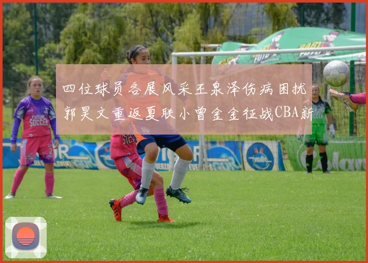 四位球员各展风采王泉泽伤病困扰郭昊文重返夏联小曾金金征战CBA新赛季