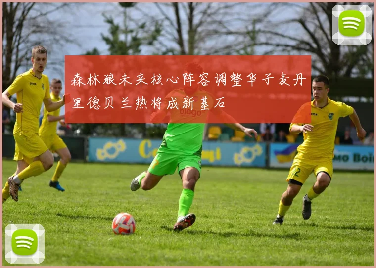 森林狼未来核心阵容调整华子麦丹里德贝兰热将成新基石