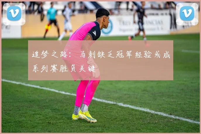 追梦之路：马刺缺乏冠军经验或成系列赛胜负关键
